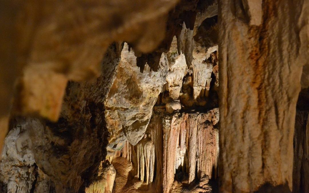 Entre géologie et grotte ornée : notre visite des grottes de Limousis et du Pech Merle