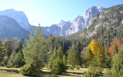 Rêve d&rsquo;automne (Défi de Frau Pruno)