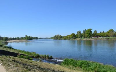 En 2040, je serai…