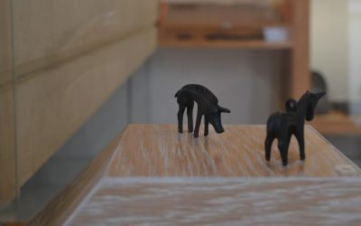 Roanne, une belle découverte