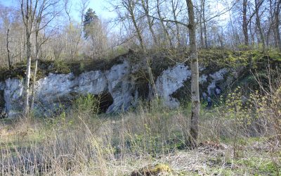Entre homme-lion, mammouths et grottes habitées !