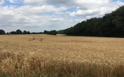 La routine allemande (100% naturelle) pour bébé