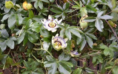 Mes trois endroits préférés en Gironde