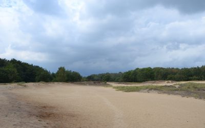 Boberger Dünen : des dunes en plein Hambourg