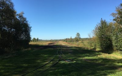 La tourbière du ciel ? Notre excursion au Himmelmoor