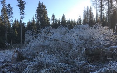 Vis ma vie de rock star… J&rsquo;ai accompagné une classe de grande section en sortie piscine.