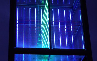 Un silence de petits cris (1)