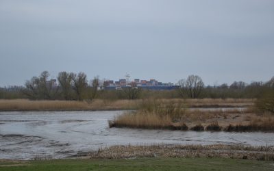 Balade le long de l&rsquo;Elbe à marée basse… à côté de Hambourg