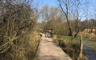 Marcher sur un marais : notre excursion au Raakmoor