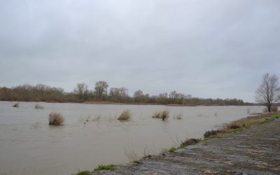 Ce que je rapporte toujours de France