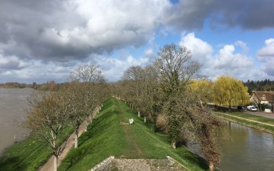 Un silence de petits cris (4)