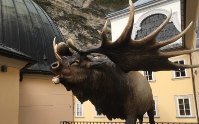 Salzbourg, entre mammouths et aérodynamique !