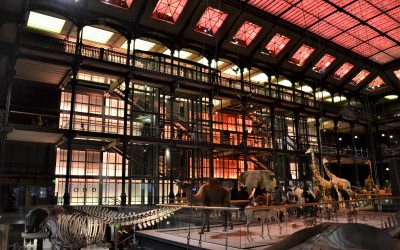 En sortie à la Grande Galerie de l’Évolution
