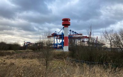 Voir les porte-conteneurs de près : notre balade typiquement hambourgeoise