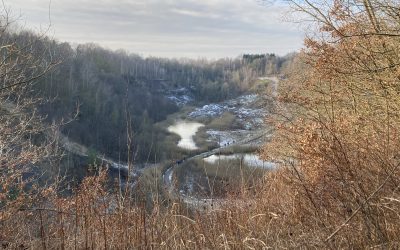 Notre excursion dans une ancienne carrière : la Liether Kalkgrube