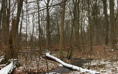 L’Alstertal, là où l’Alster n’est qu’une petite rivière