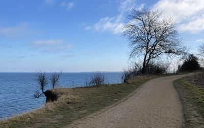 Un silence de petits cris (5)