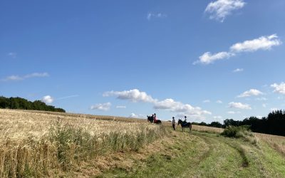 A dos d’âne vers le château de Corbelin