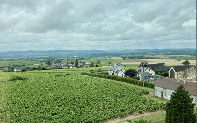 Depuis le Belvédère de Saint-Andelain