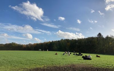 Coronavirus et fin des vacances d’automne