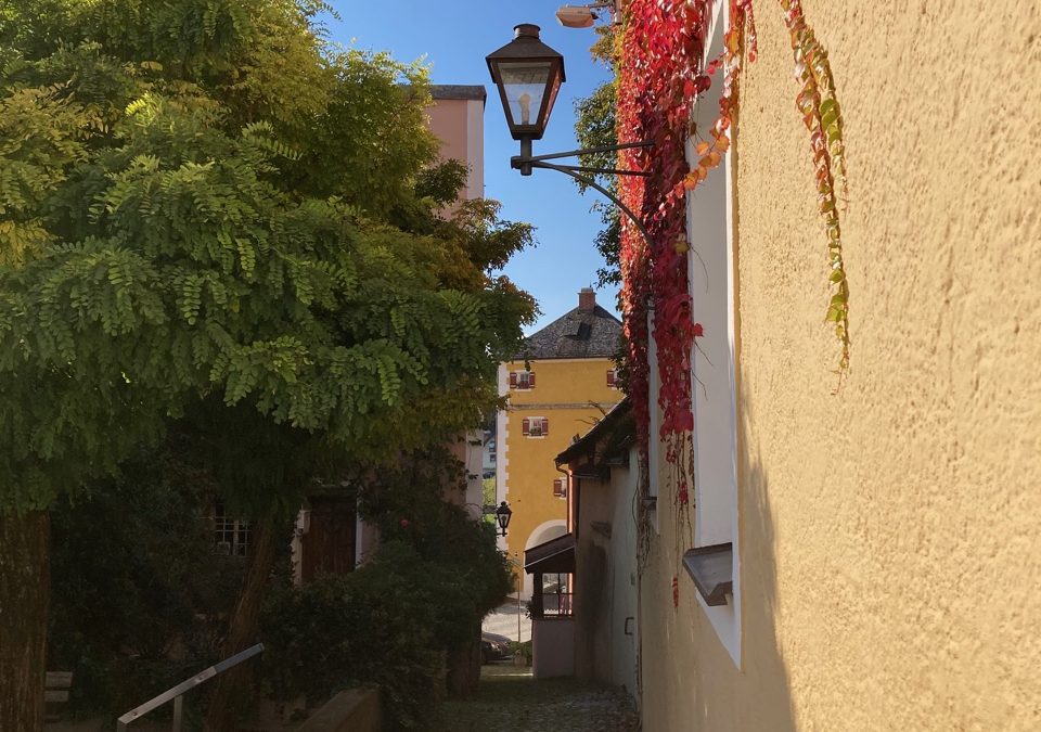 Laufen an der Salzach, la ville où se promener tranquillement !
